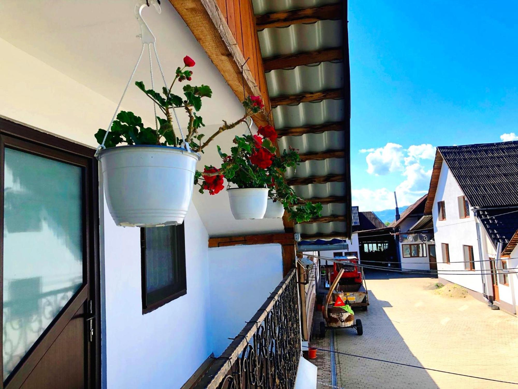 Hotel Casa Paul Vişeu de Sus Exterior foto