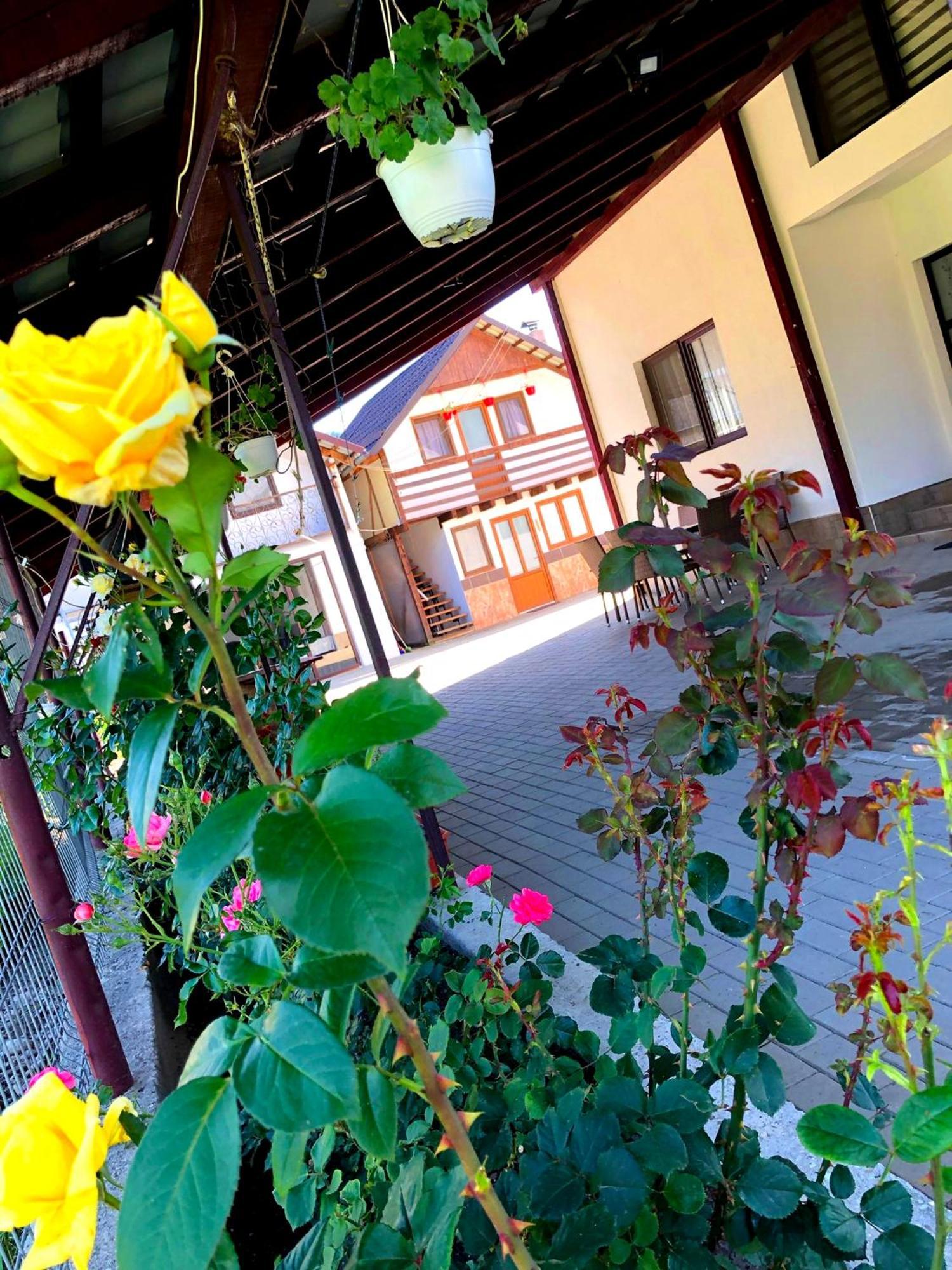 Hotel Casa Paul Vişeu de Sus Exterior foto